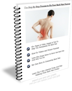 BAck Pain Report 3D Cover Png