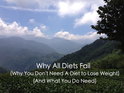 Why All Diets Fail Image Cover