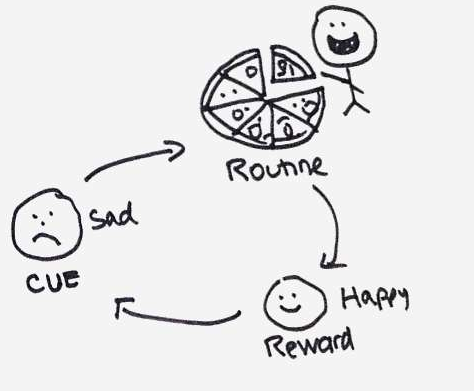 The Habit Cycle