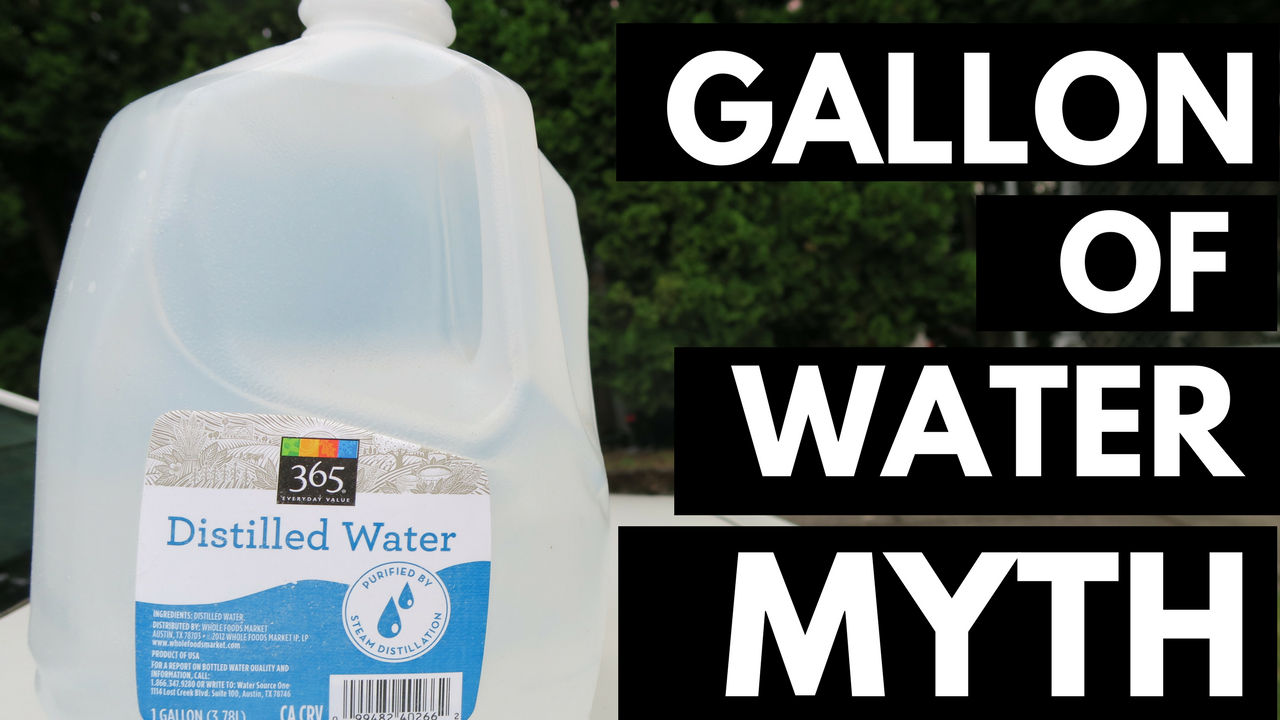 why-drinking-a-gallon-of-water-a-day-is-complete-bull-modern-health-monk